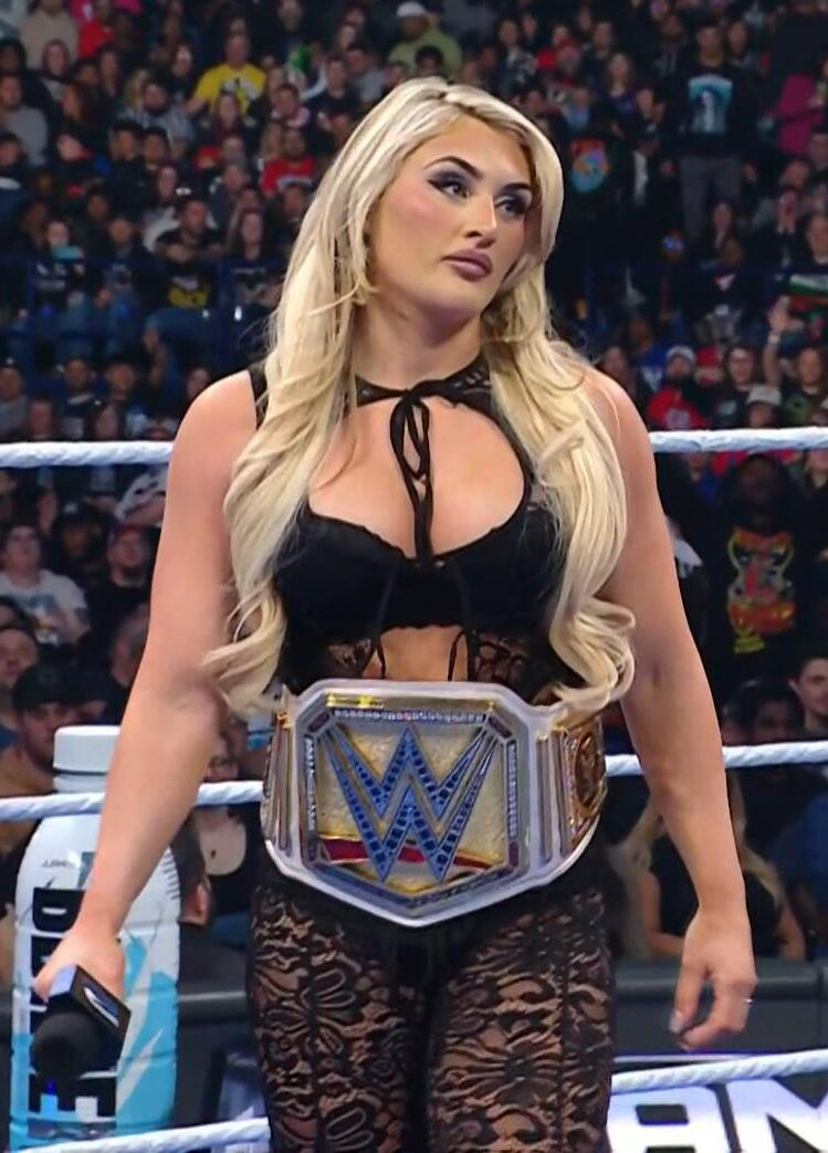 WWE Wrestling Divas Mix