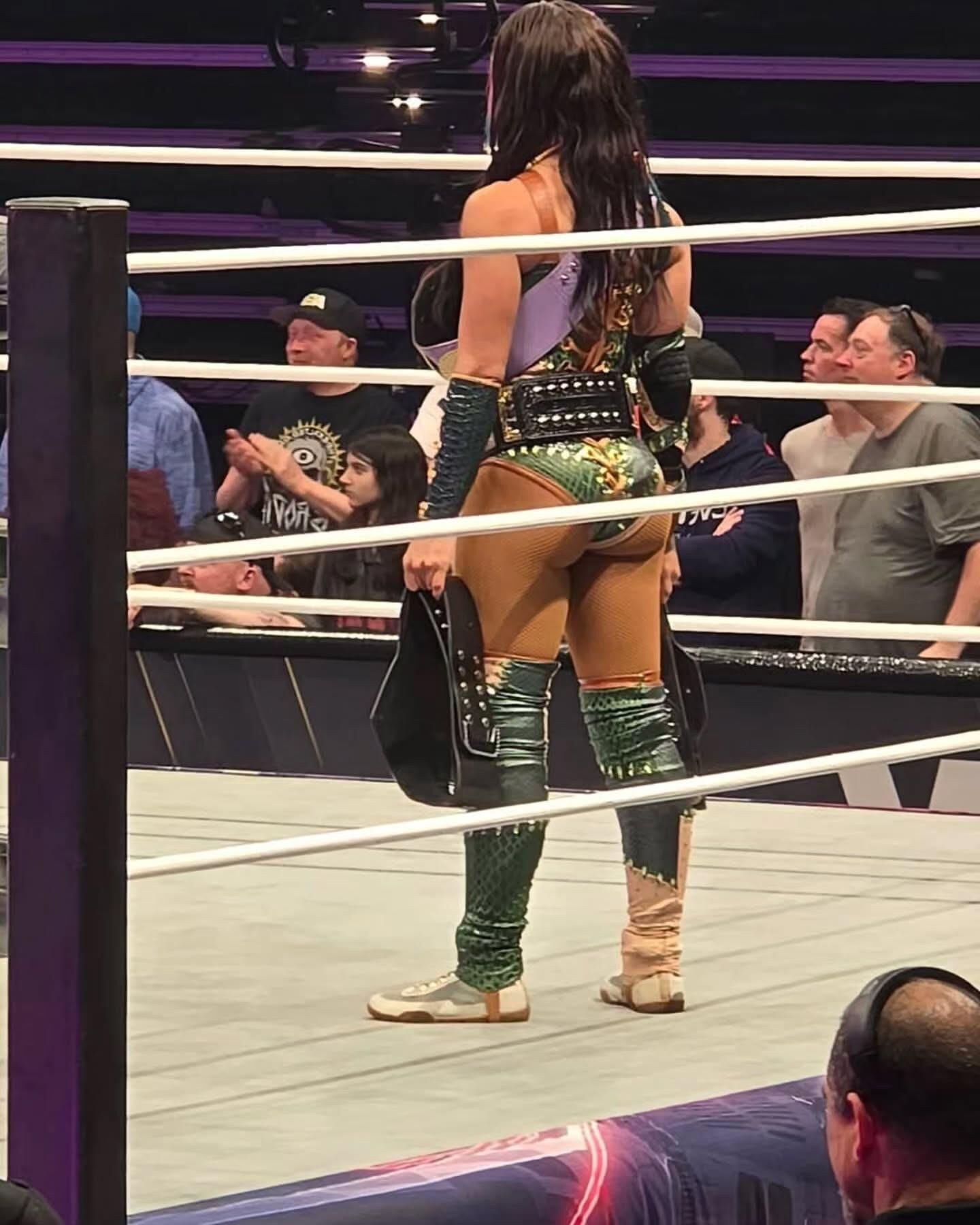 WWE Wrestling Divas Mix