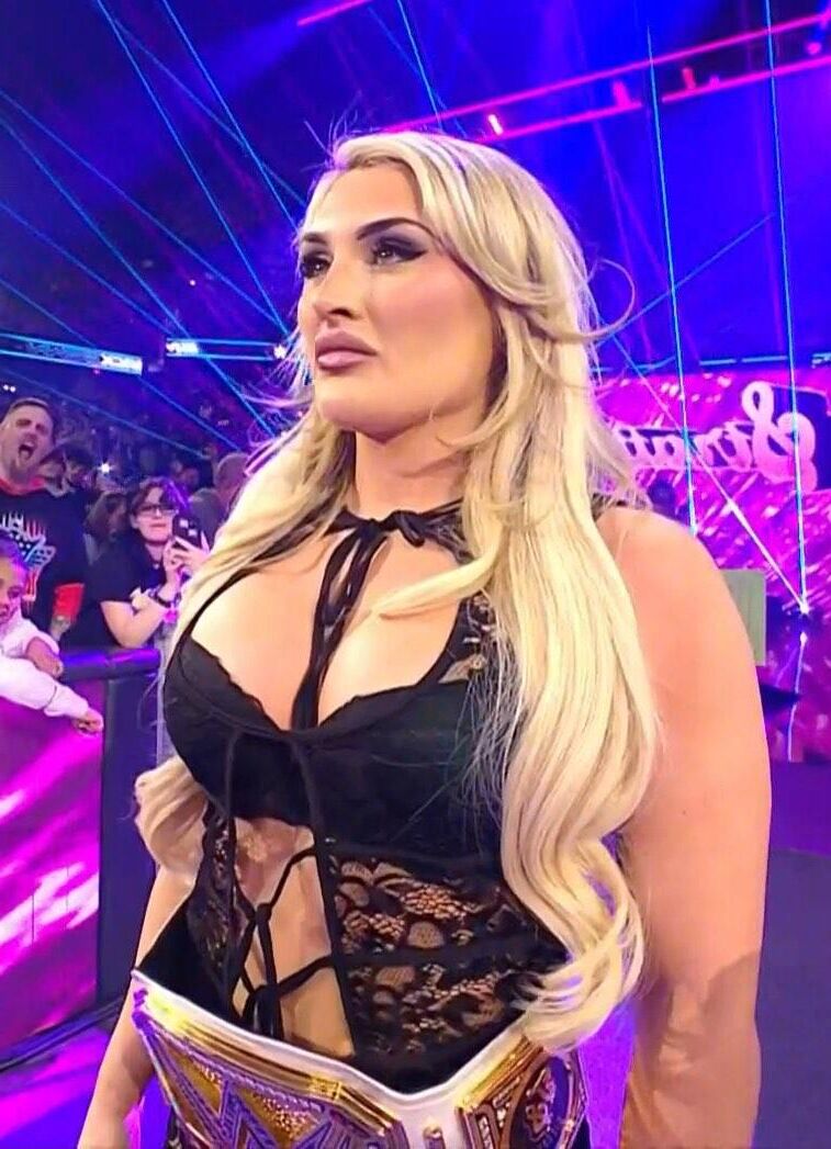WWE Wrestling Divas Mix