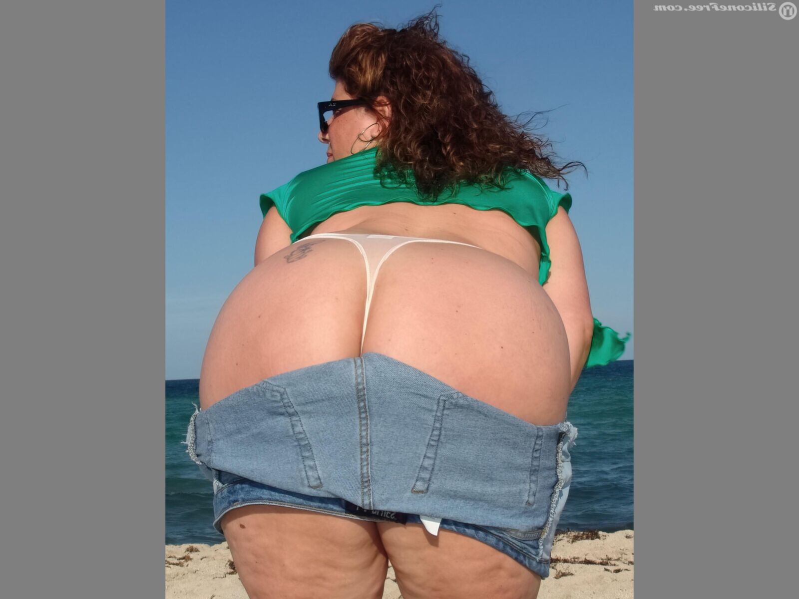 Nada más que milfs. 