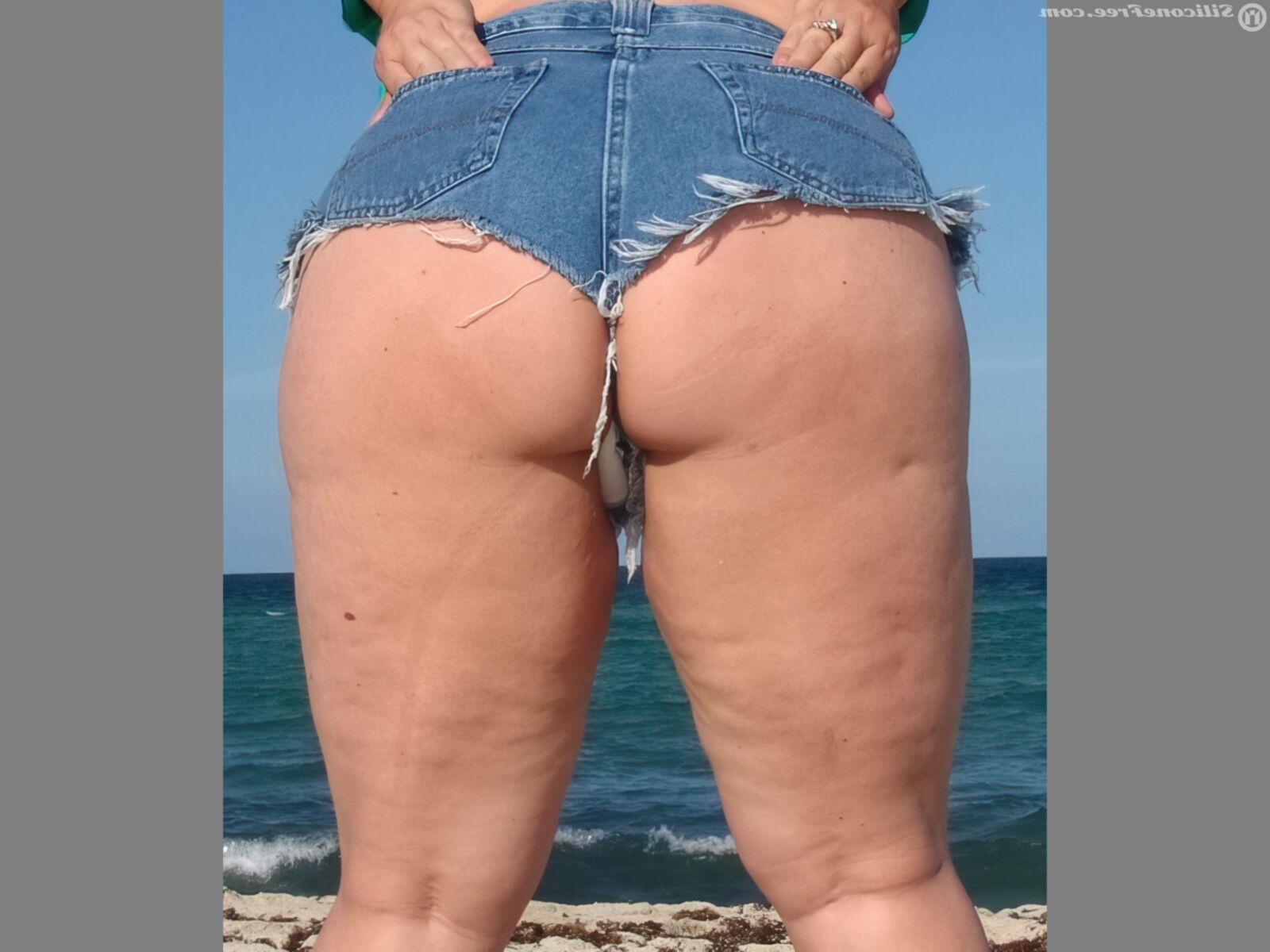 Nada más que milfs. 
