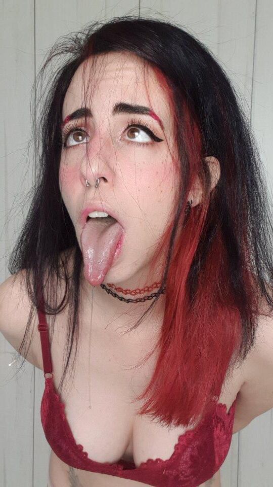 Inbarkatzenelson