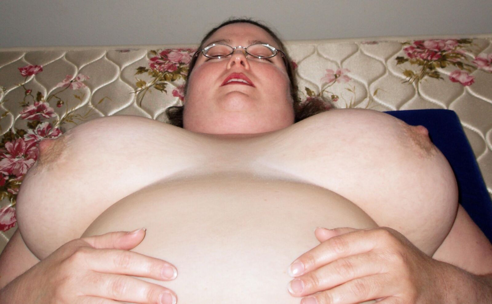 好きなワンクの写真