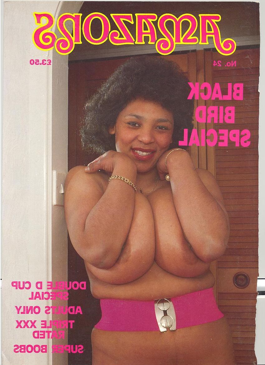 Une collection de magazines Baregirl