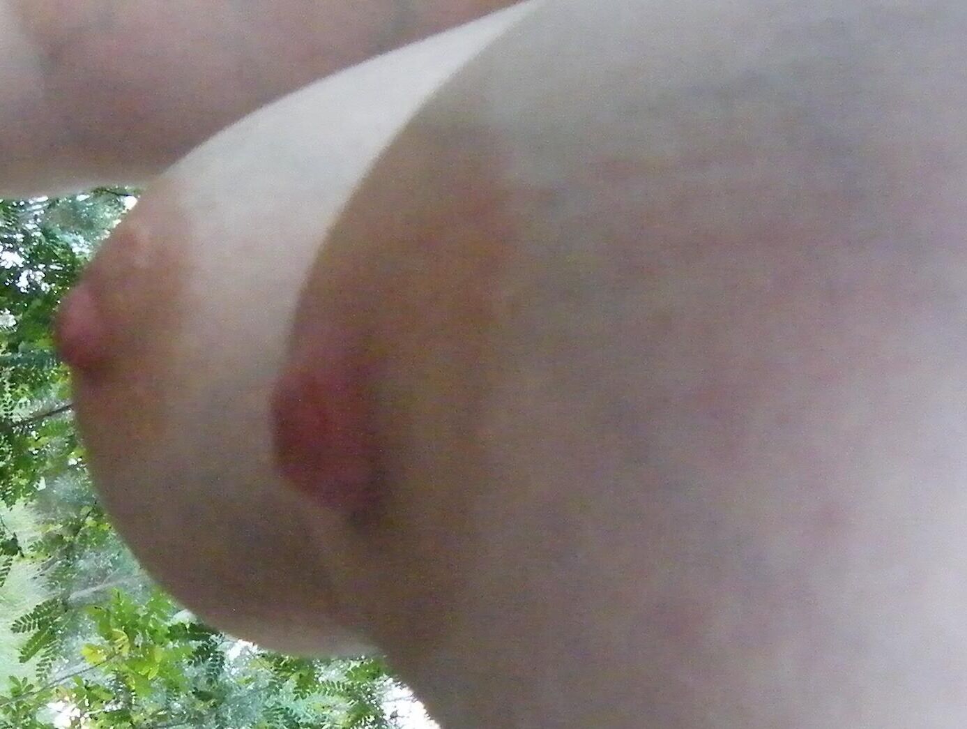 Grandes tetas de cosecha propia en la cara.
