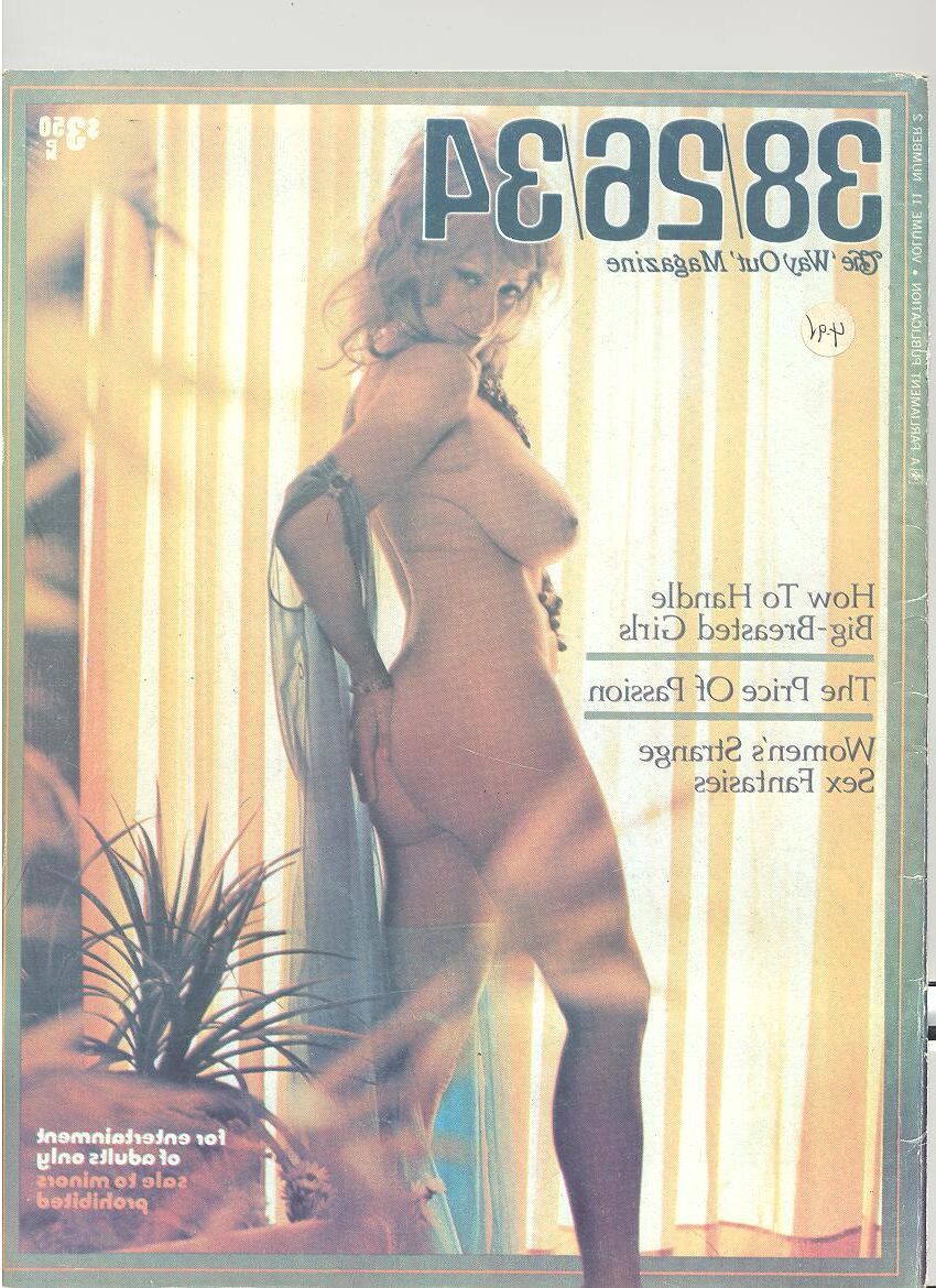 Die Sammlung von Baregirl -Magazinen eines Pervers