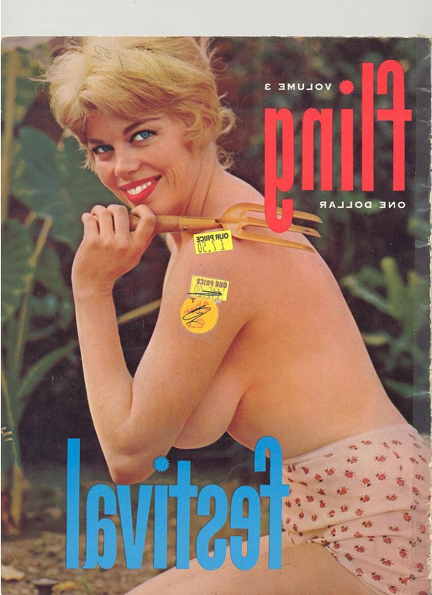 Die Sammlung von Baregirl -Magazinen eines Pervers