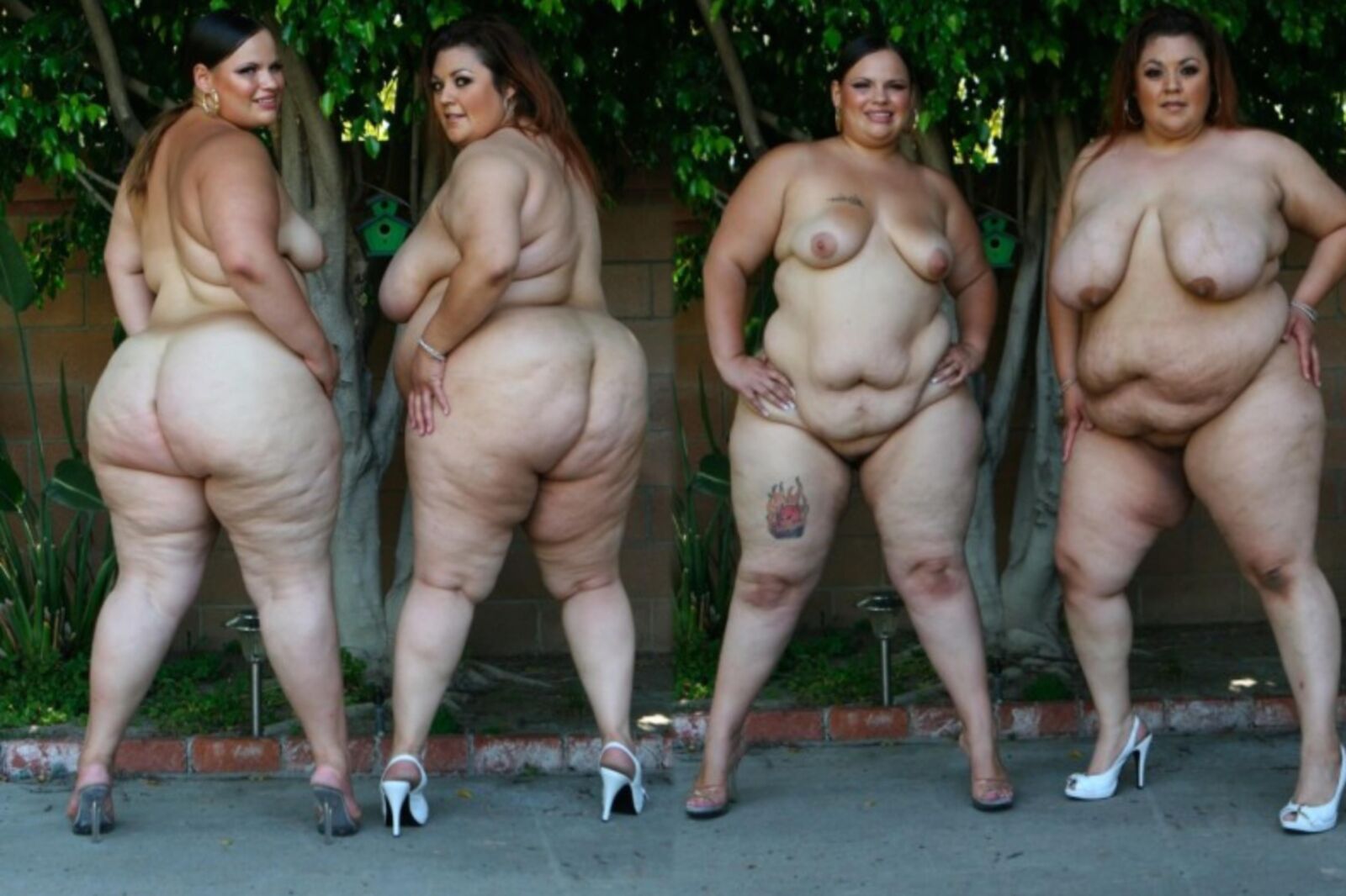 Latina Big Boob split pics