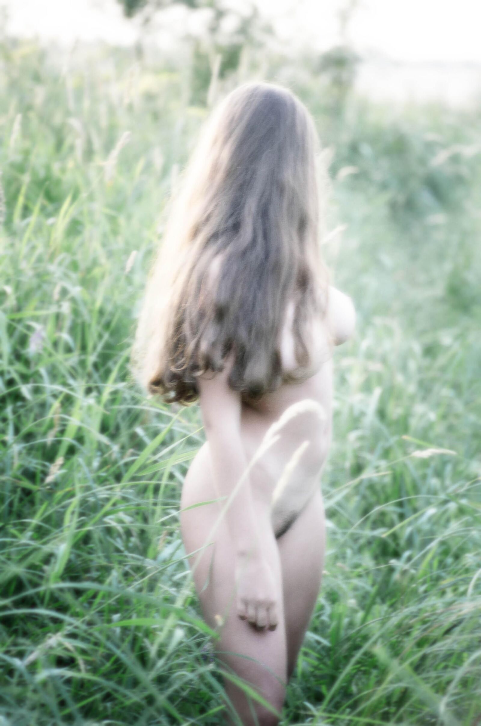 Slastyonoff Aneli Forest、