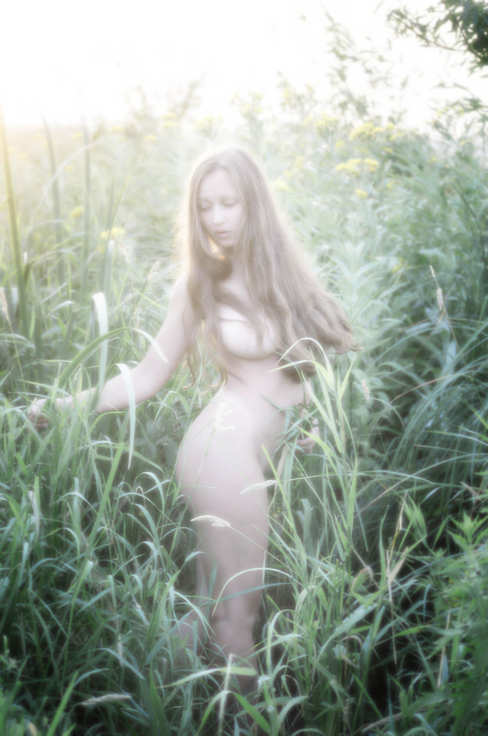Slastyonoff Aneli Forest、