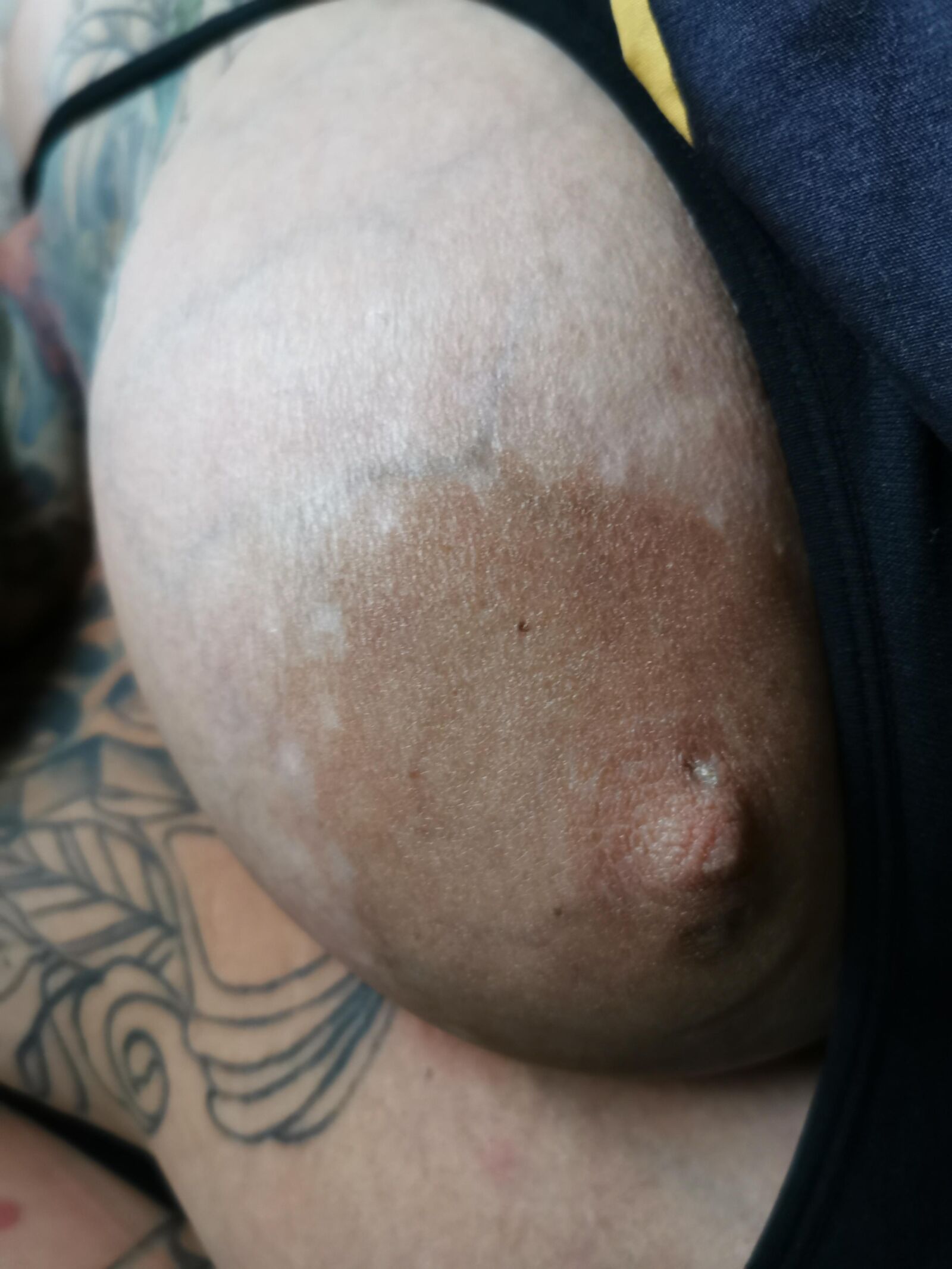 Big old tatoo tits 