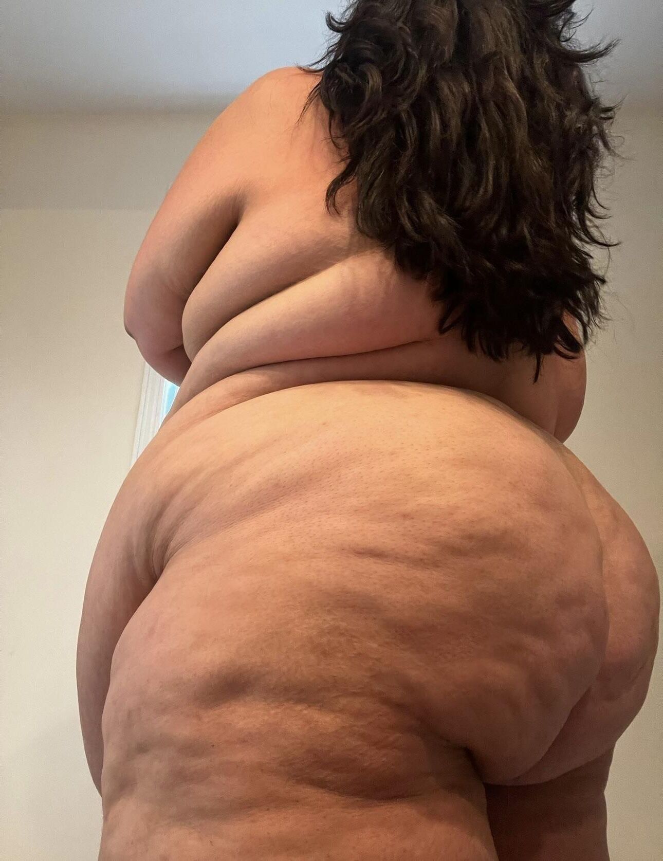 Mariposa Bonita (BBW)
