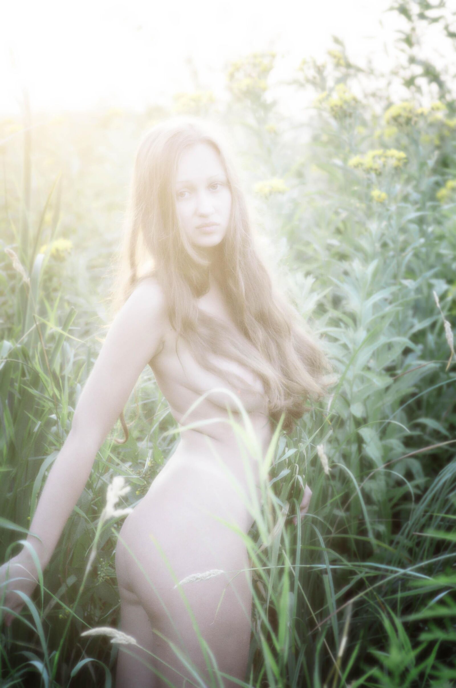 Slastyonoff Aneli Forest、