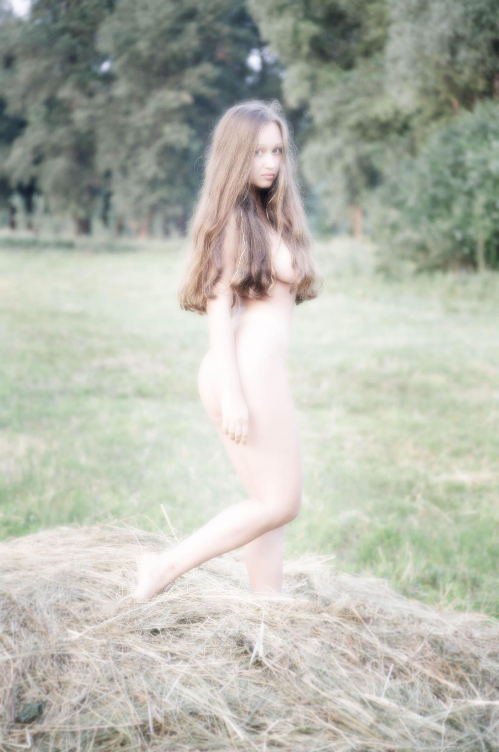 Slastyonoff Aneli Forest、