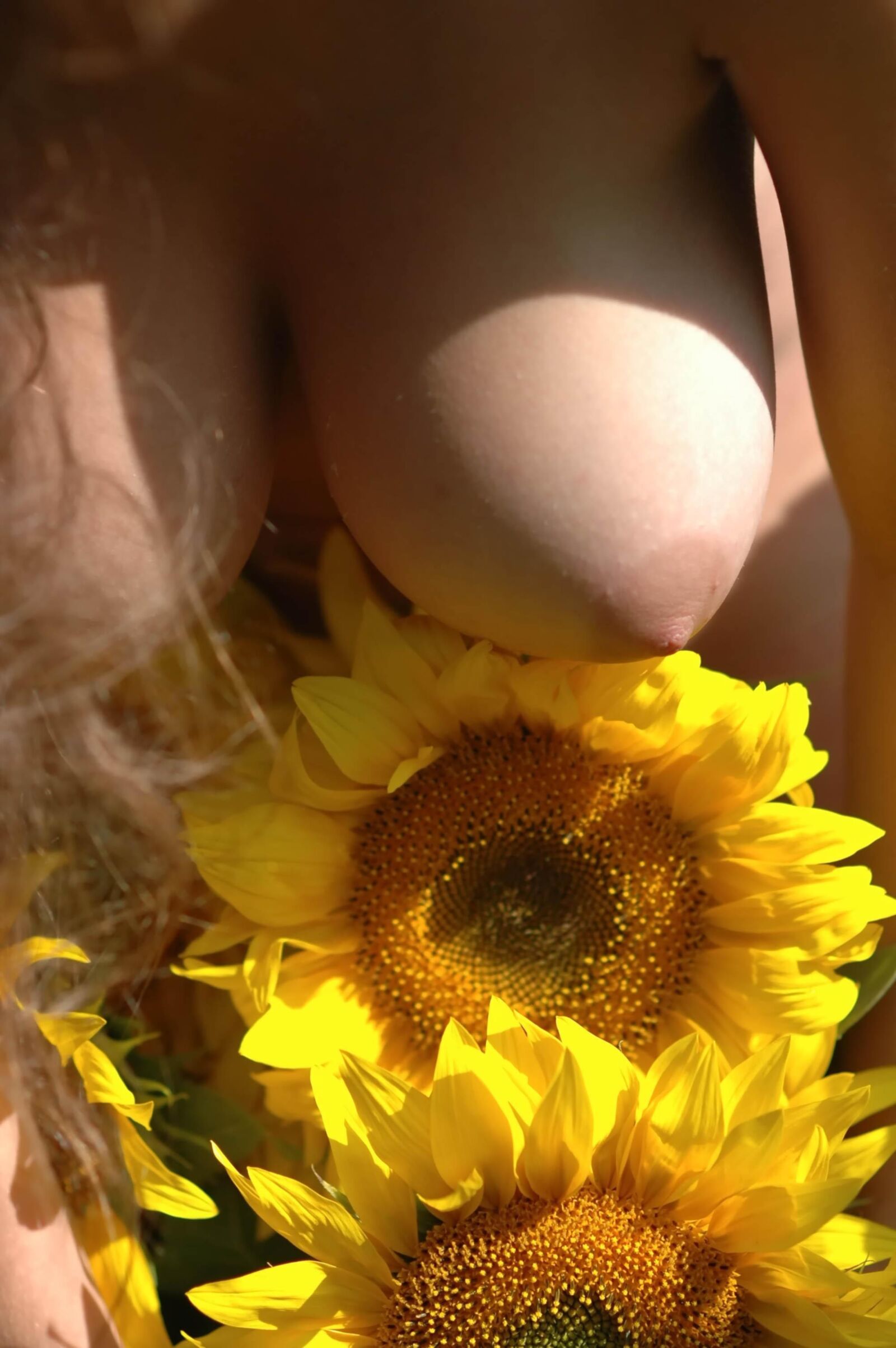 Slastyonoff Aneli Aunflower、