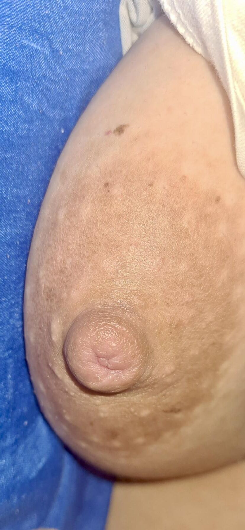 Mamilos
