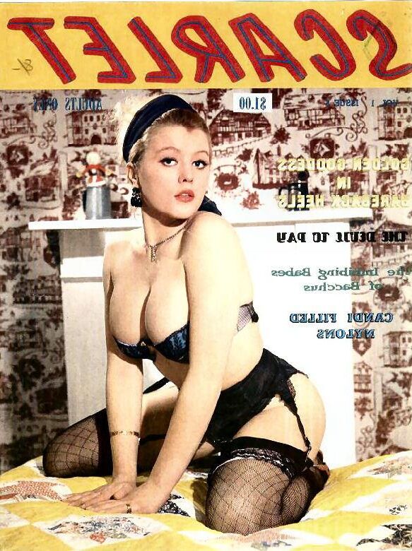 Die Sammlung von Baregirl -Magazinen eines Pervers