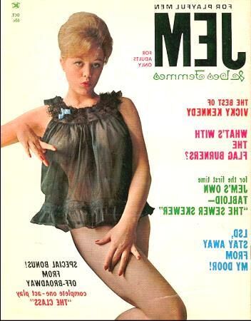 Die Sammlung von Baregirl -Magazinen eines Pervers