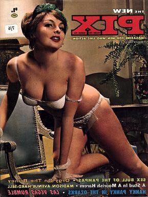 Die Sammlung von Baregirl -Magazinen eines Pervers
