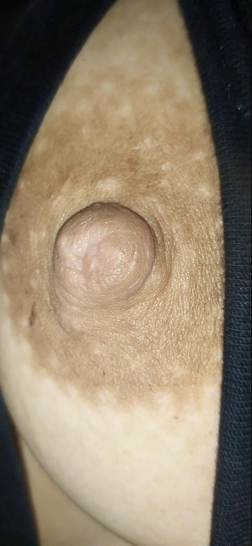 Mamilos