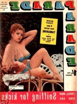 Die Sammlung von Baregirl -Magazinen eines Pervers