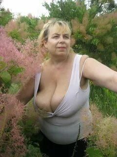Plain, Busty and NN