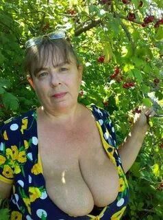 Plain, Busty and NN