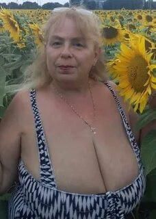 Plain, Busty and NN