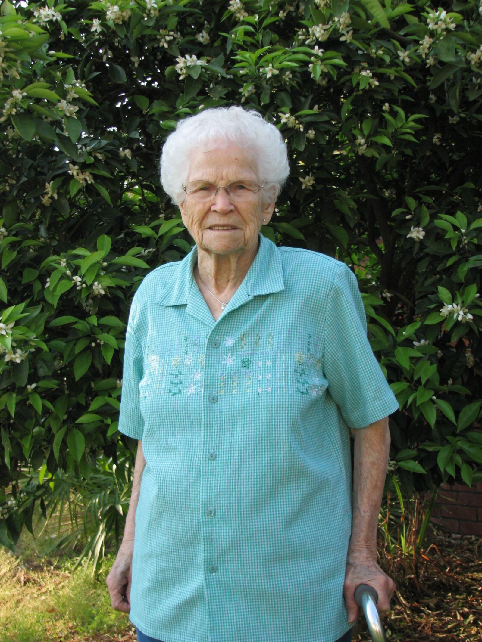 Can you help an old gal out?(grandma needs her cookie licked)