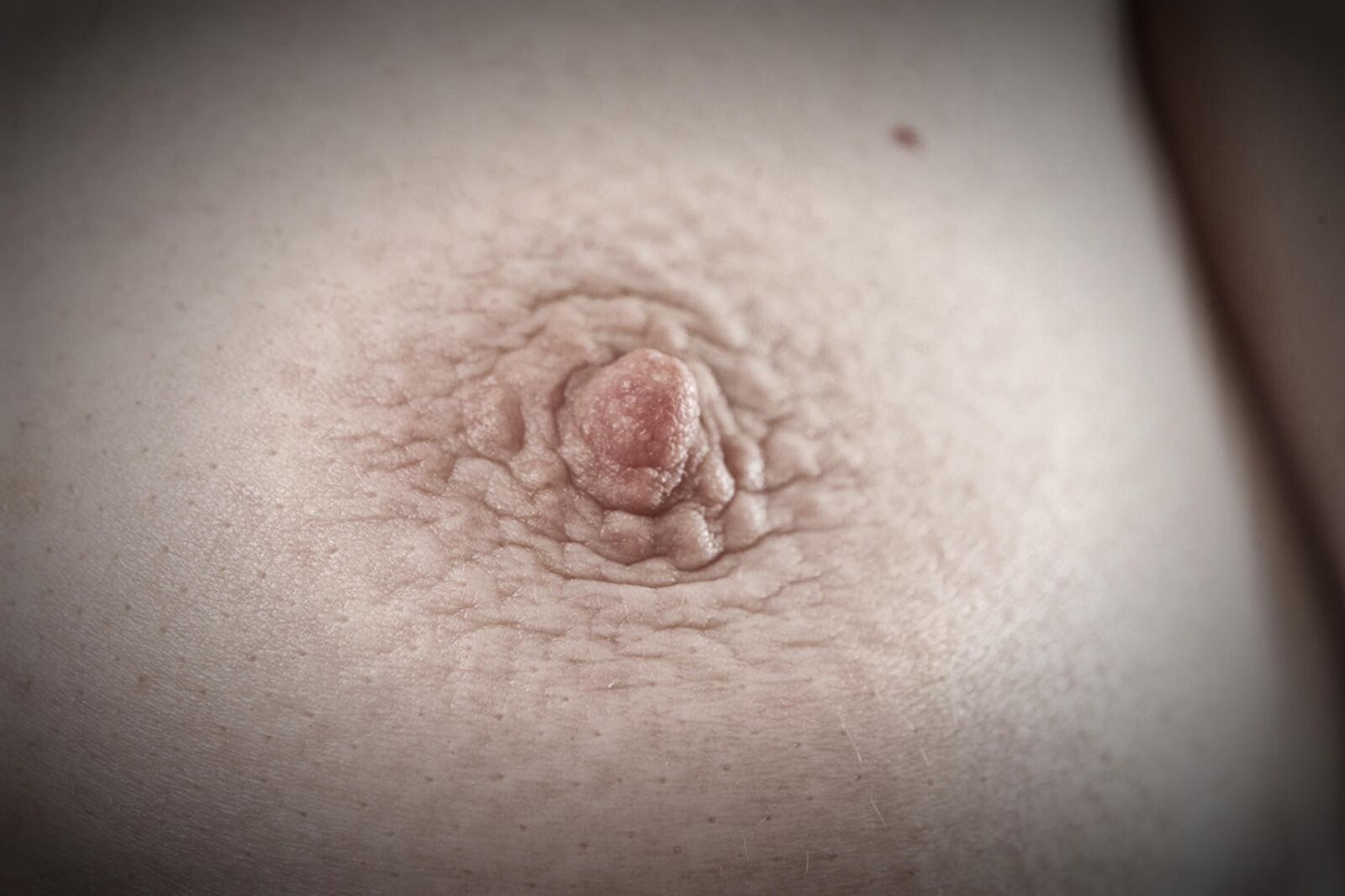 Nippel Nahaufahmen