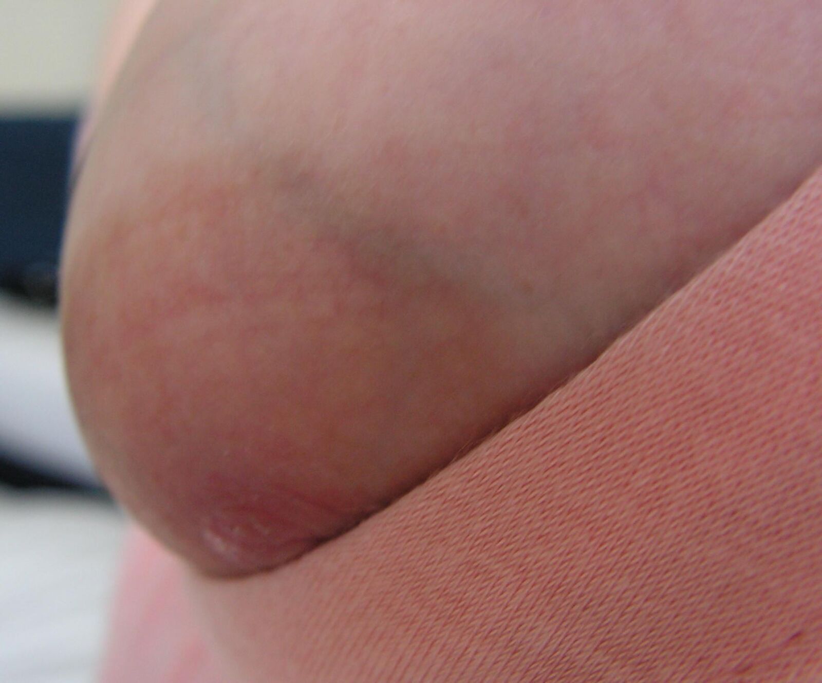 Nipppleland.