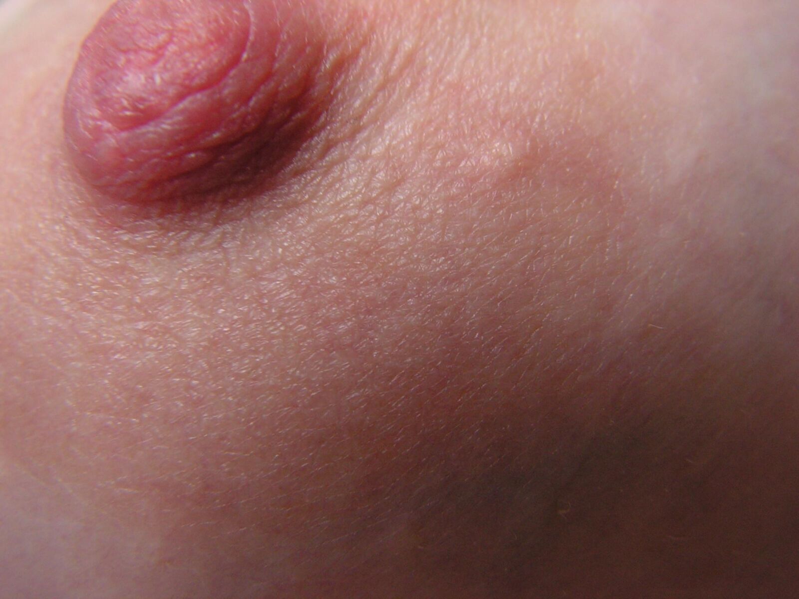 Nipppleland.