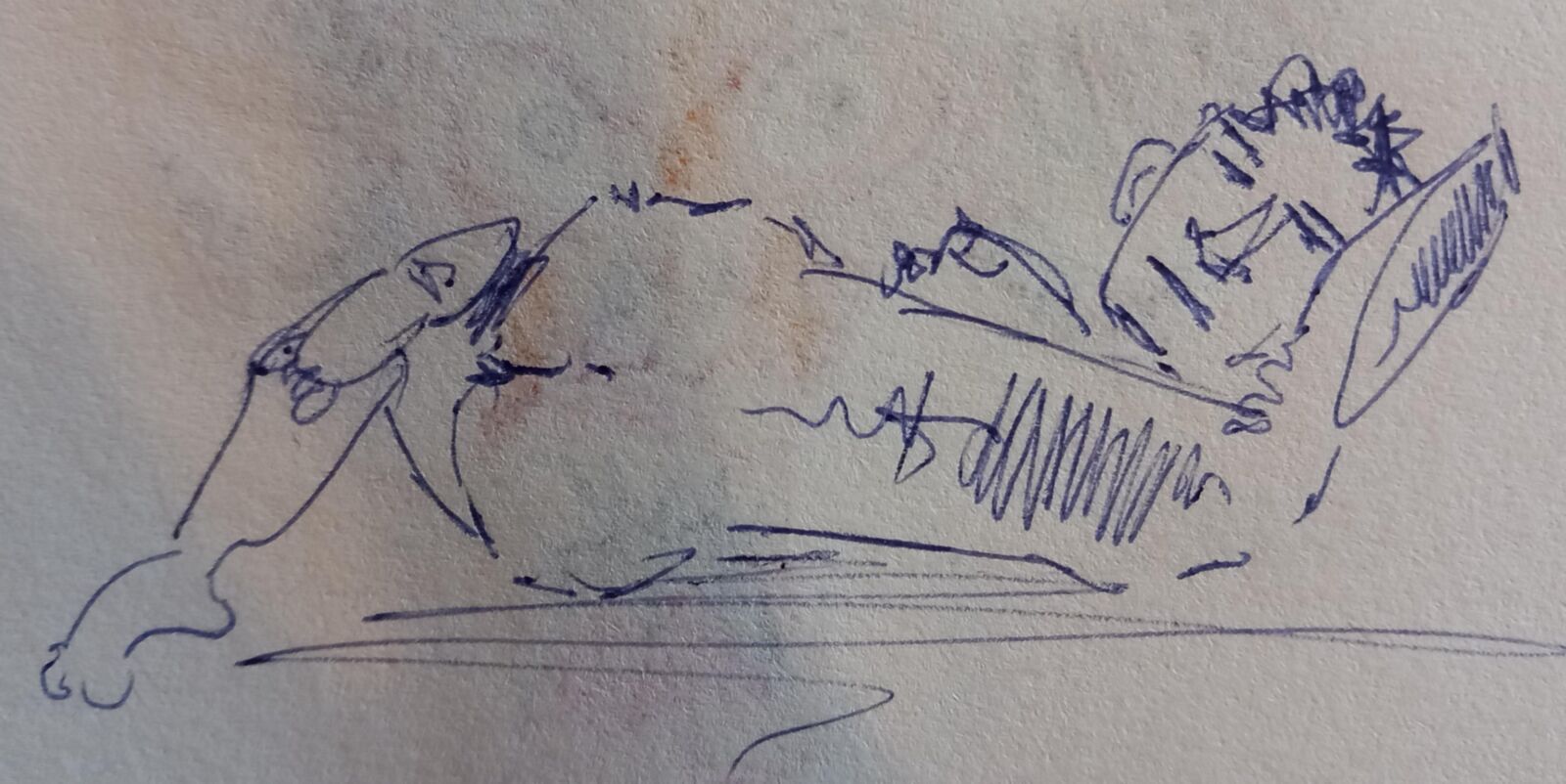 Dibujos eróticos