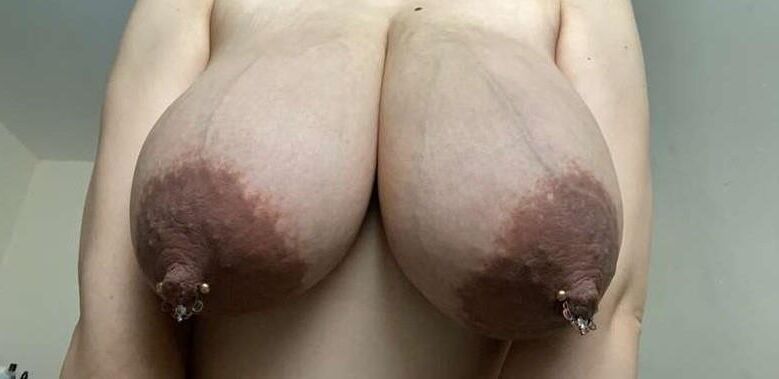 Big saggy udders 