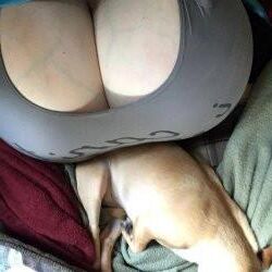 Kristawebslut