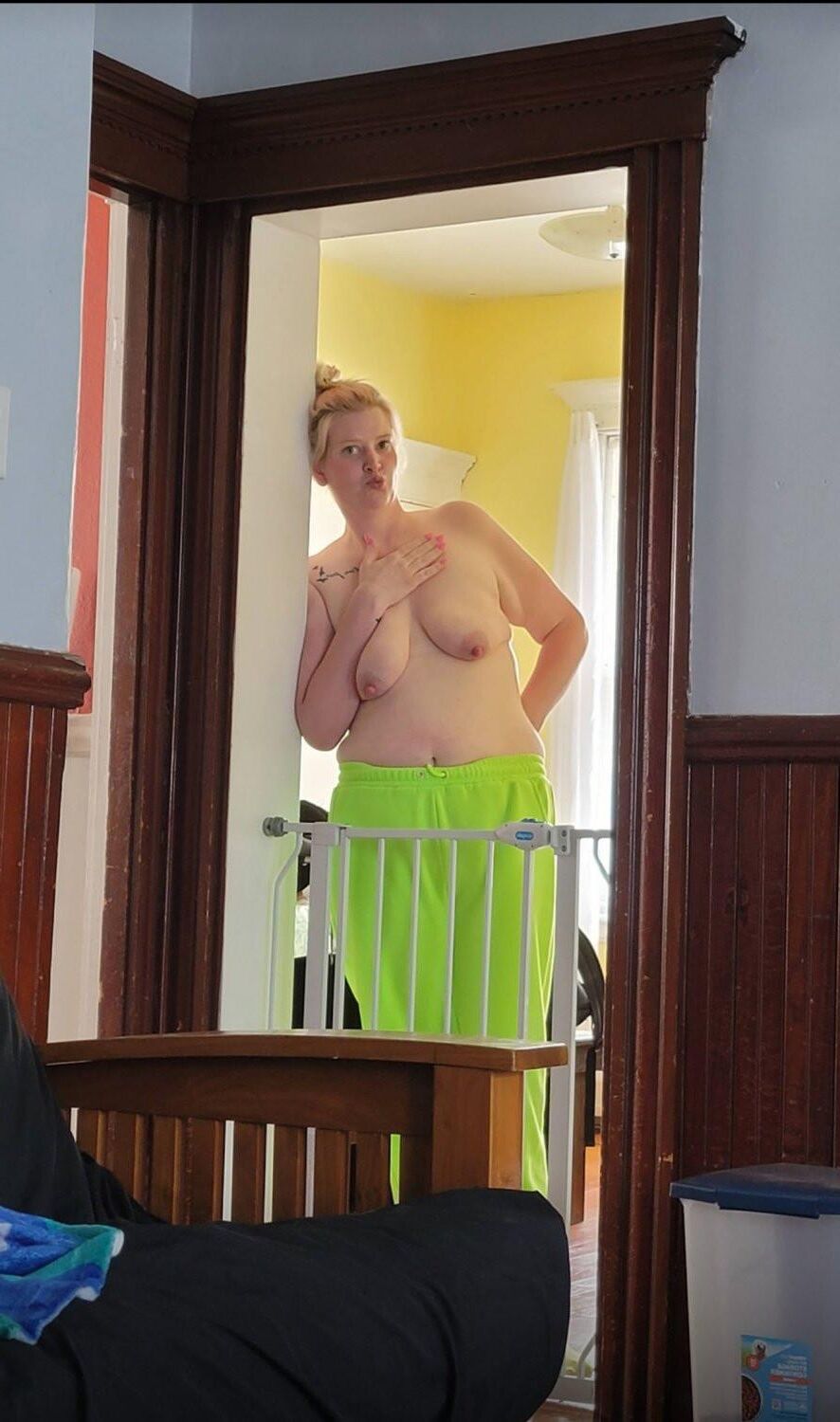 Great tits 