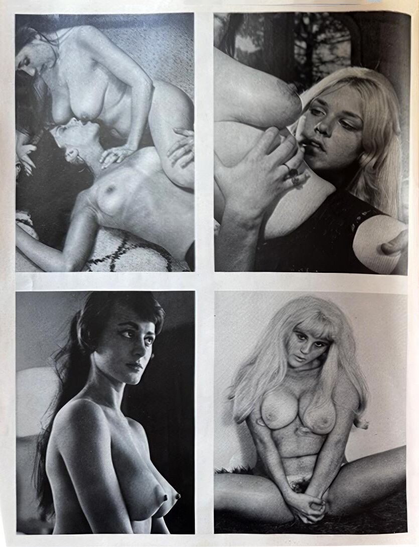 Boobs, Busts & Bazooms Volume No ()