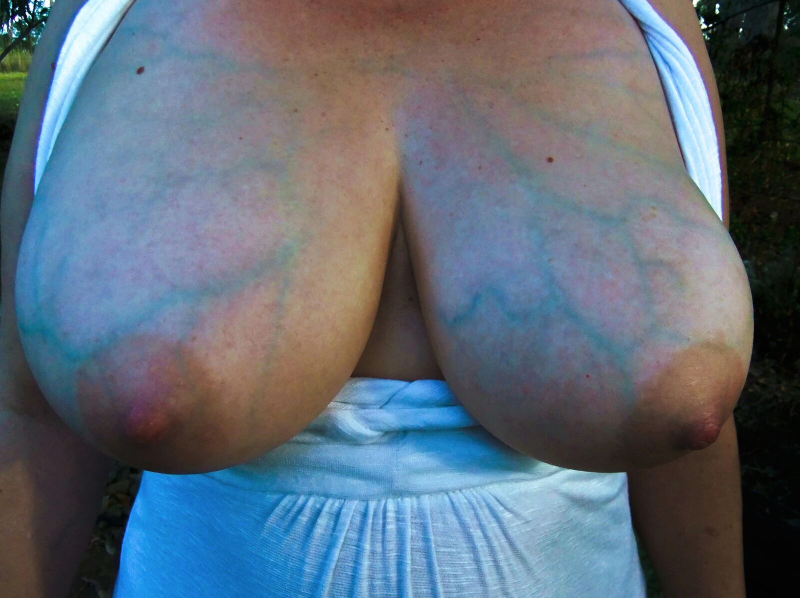 Venas en tetas ... las mejores