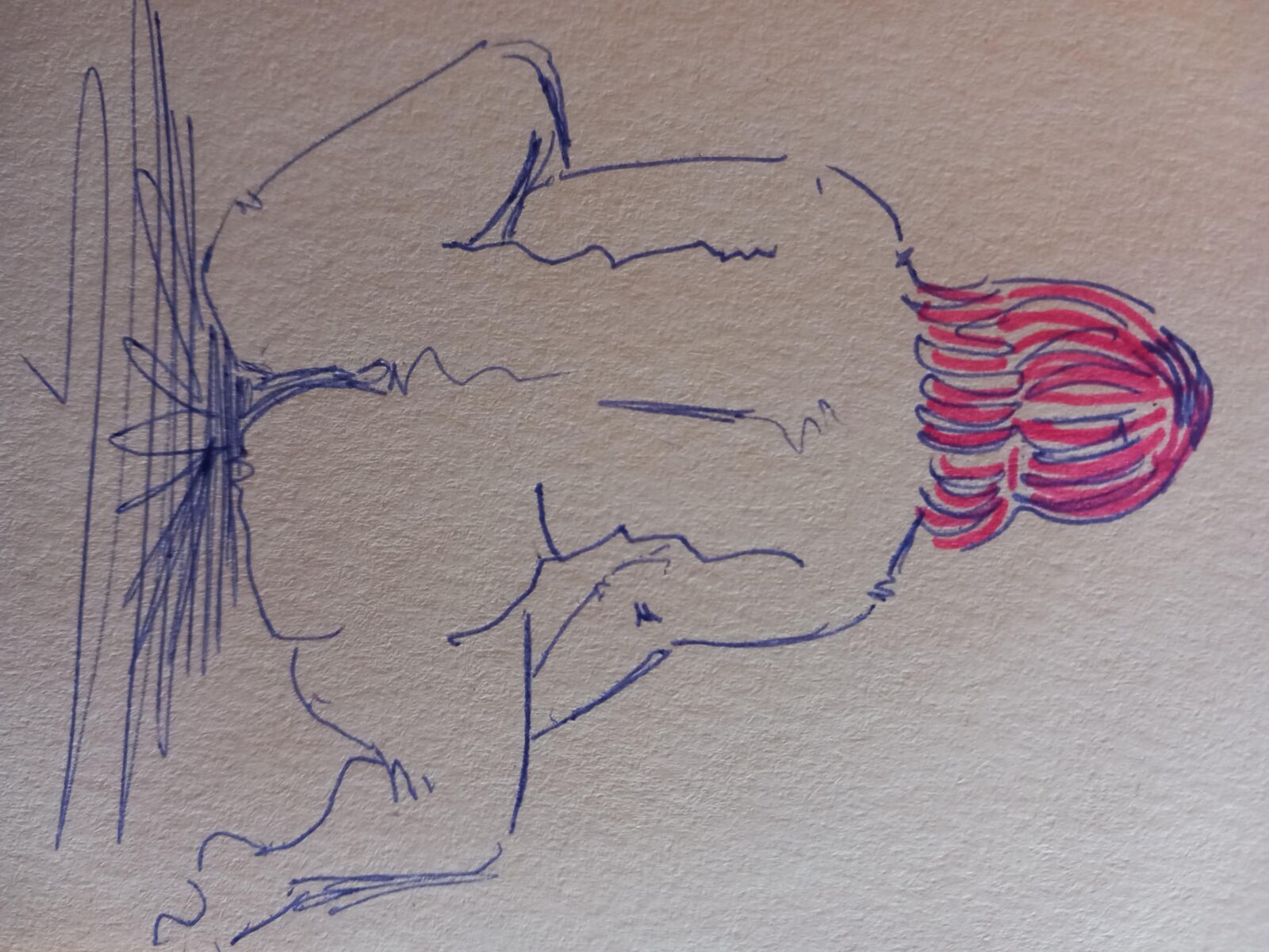 Erotic drawings 