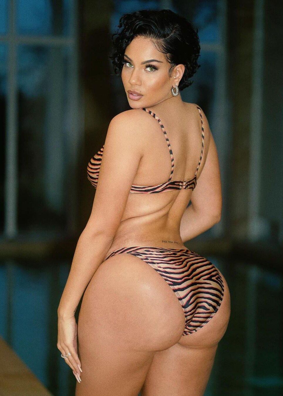 Chubby & Thick Legends Vol. 