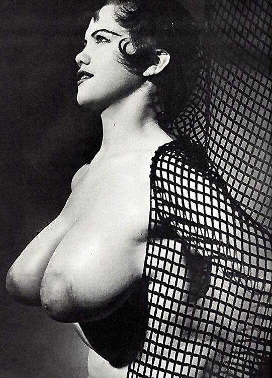 Assorted Vintage Big Tits 