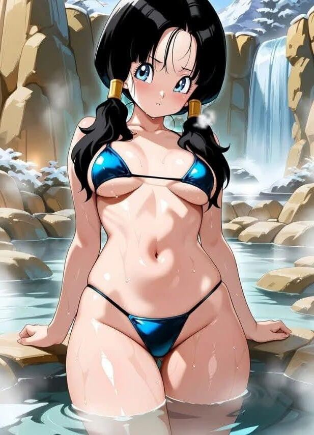 Dragon Ball Videl