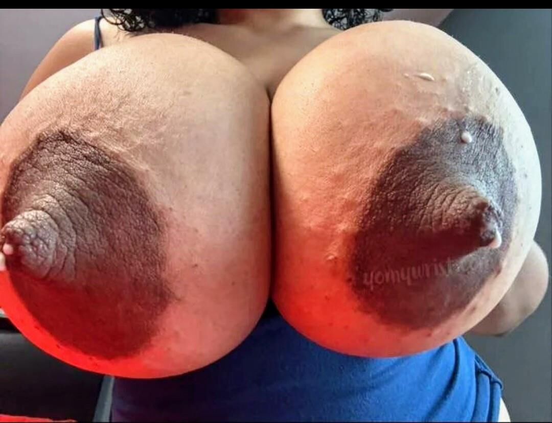 Mouthwatering Melons 