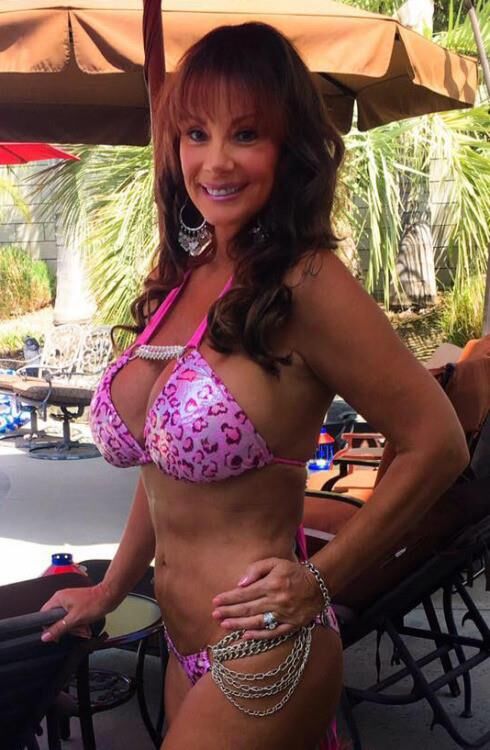 Cougar Chronicles