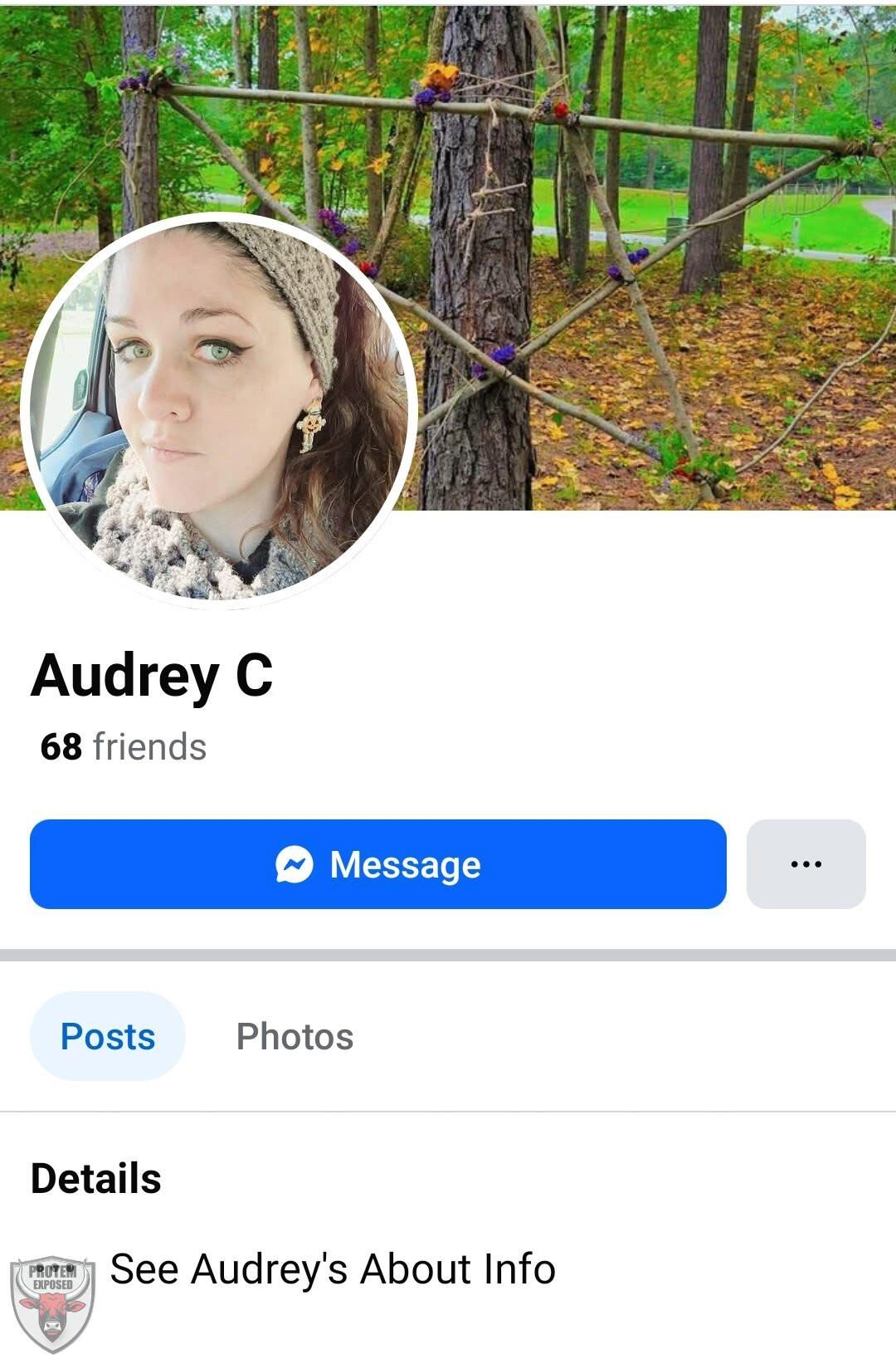The Big Glorious Tits of Audrey 