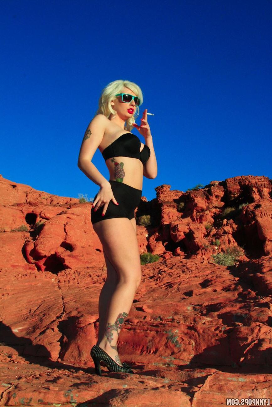 Lynnpops Valley of Fire