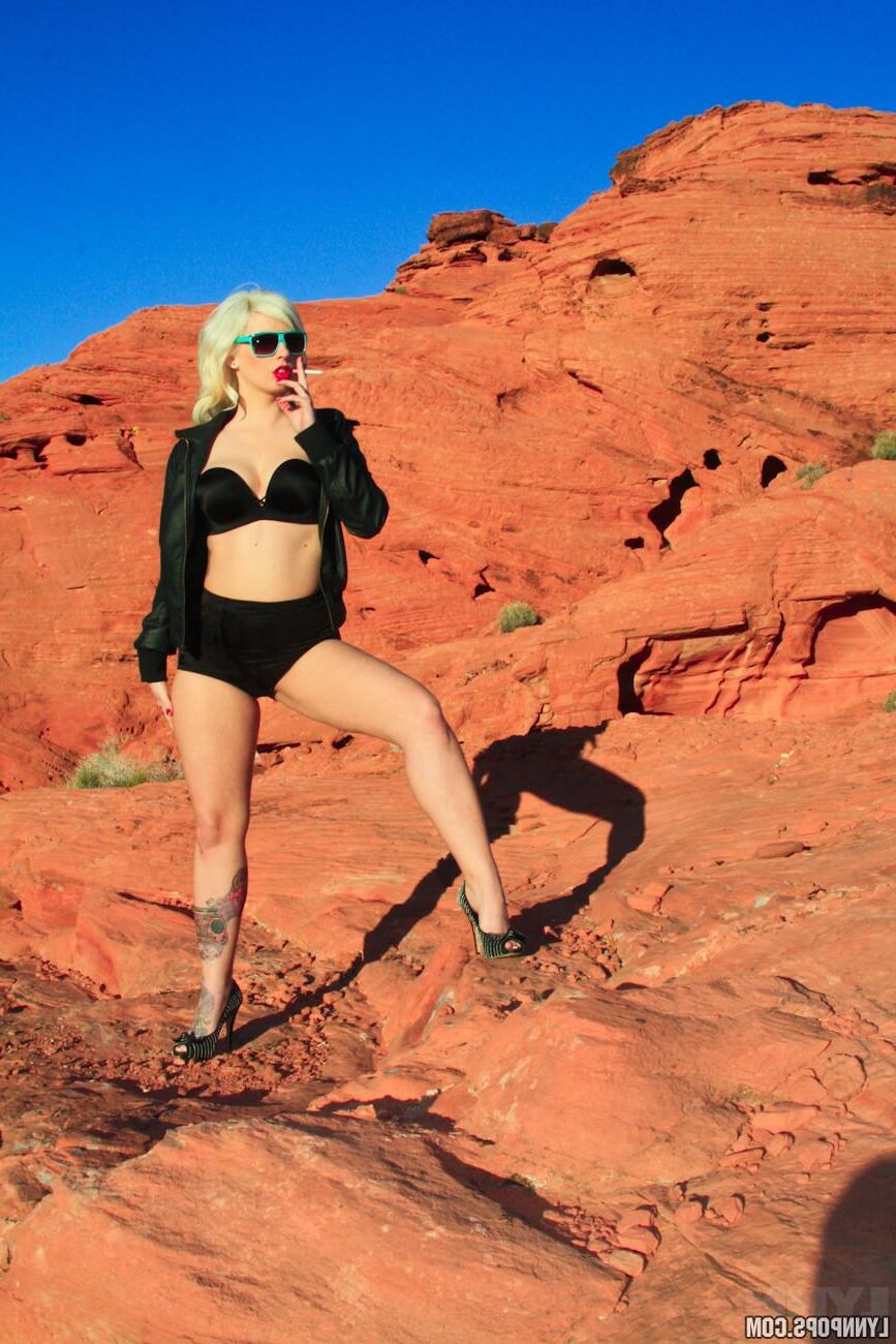 Lynnpops Valley of Fire