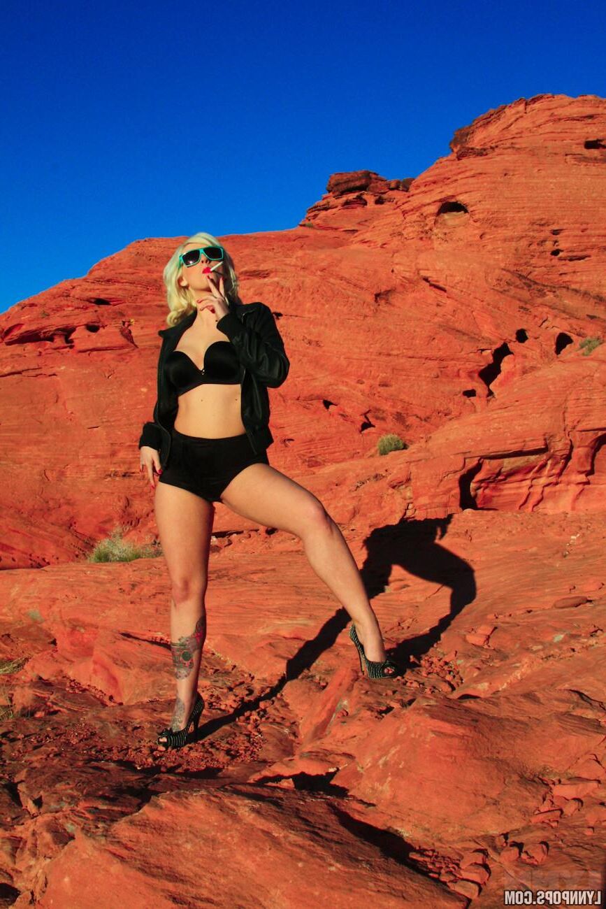 Lynnpops Valley of Fire