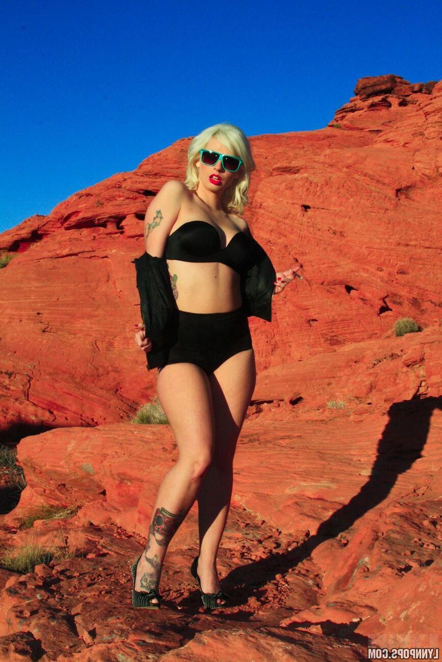 Lynnpops Valley of Fire