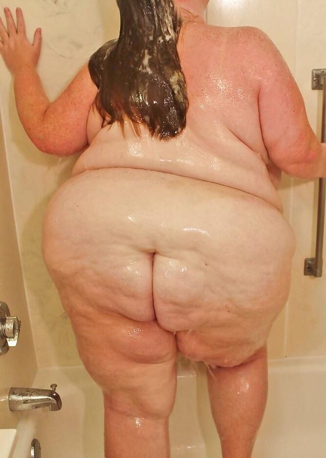 Сахар H. Magnifique Laitiere Grasse et Amese SSBBW